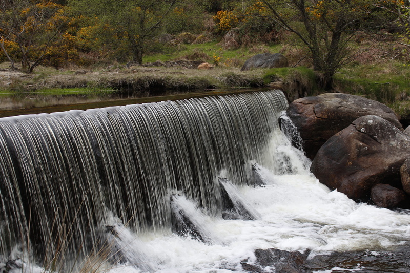 blurred motion, Glendalough, land, Nature, flowing water, power in nature, no people, waterfall, forest, water, green, rock - object, Wicklow, landscape