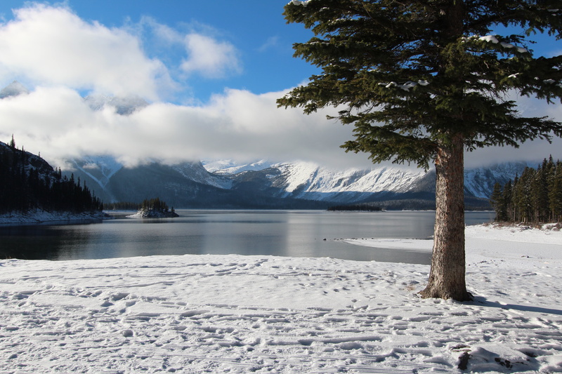 landscape photography, pine tree, tree, Upper Kananaskis lake, outdoors, winter, Canada, landscape, upper, kananaskis, weather, scenics, snow, lake, pine