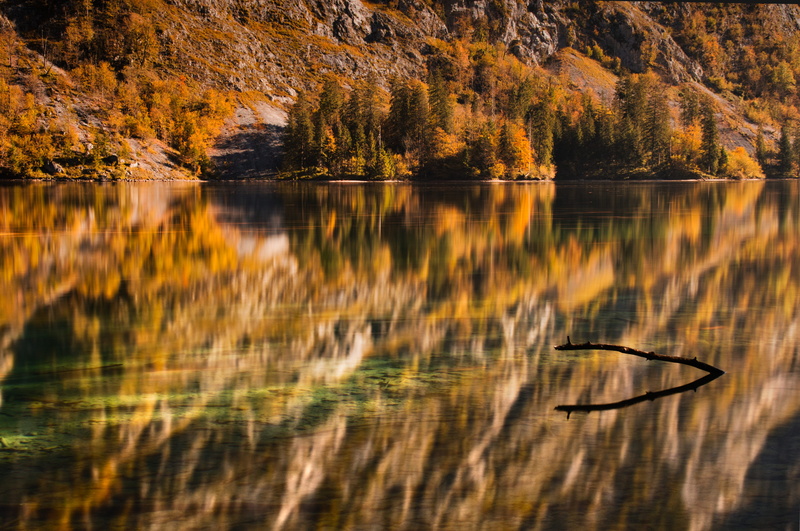 leisure, plant, berchtesgaden, reflection, water, no people, alpine, tranquil scene, 5K, change, vacations, animal wildlife, view, forest, tranquility