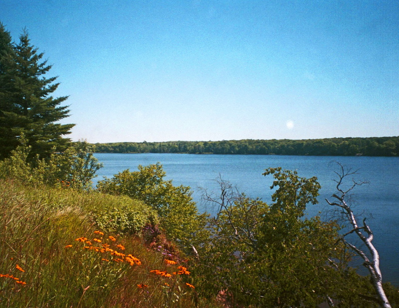 tree, water, blue, 4K, idyllic, clear sky, non-urban scene, growth, nature, sky, scenics - nature, tranquility, plant, outdoors, lake superior upper michigan