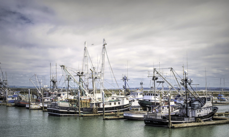 trawler, canvas, sailboat, no people, waterfront, nature, 8K, print, coastal, bay, westport fishing fleet, port, sky, background, architecture, fishing