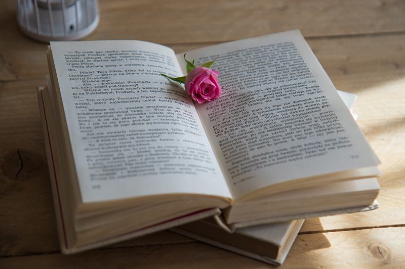 high angle view, old book, opened, rose - flower, plant, communication, rose, indoors, rose flower, pink, western script, novel, Love Story, wooden background