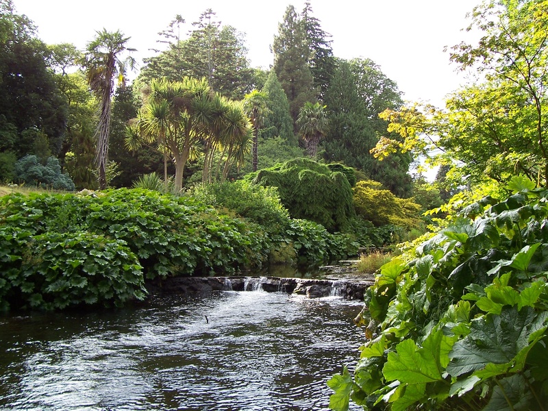 no people, tranquility, scenery, outdoors, motion, 2K, bank, shrubs, beautiful, day, tranquil scene, waterfall, flowing, non-urban scene, sky, growth