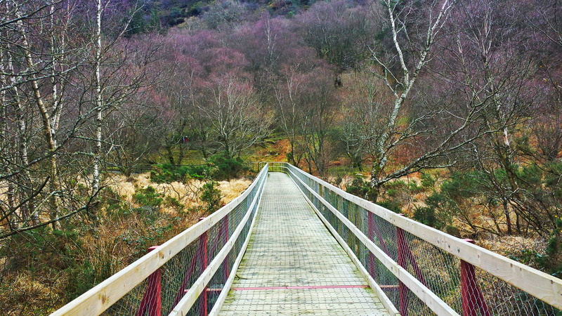 yellow, trip, tourist destination, Path, travel, woods, railing, direction, day, beauty, ride, mountain, Europe, environment, built structure, Wicklow
