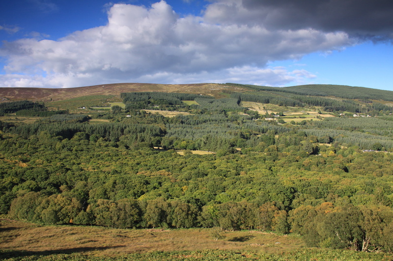 glencree, tranquil scene, plant, tranquility, scenics - nature, remote, no people, mountain, day, green color, sky, field, wicklow, nature ireland, cloud - sky