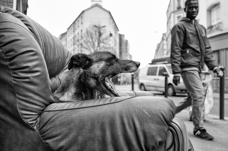 france, one person, pet owner, quartier, real people, mammal, dog, blackandwhite, midsection, vertebrate, domestic, warm clothing, domestic animals, casual clothing