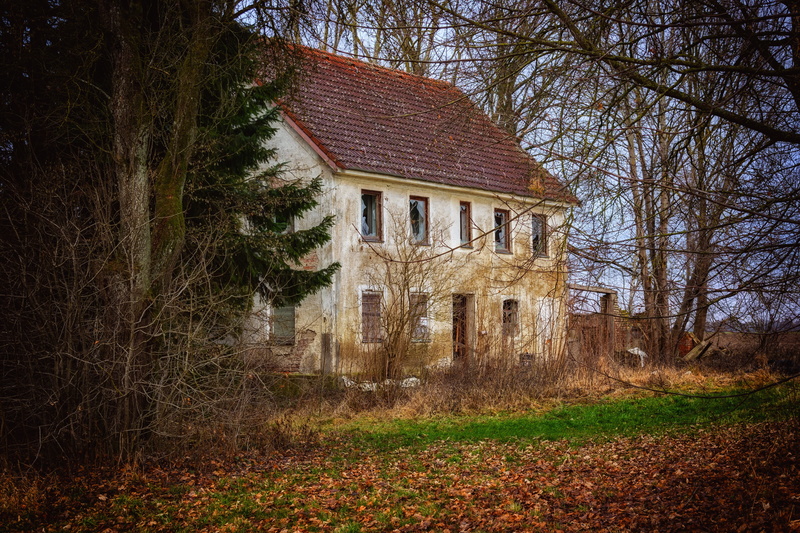 field, day, built structure, beige, growth, abandoned places, no people, pforphoto, tall, home, broken, abandoned, masonry, break up, lonely house, 5K
