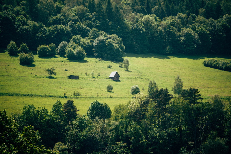 field, tranquil scene, 5K, non-urban scene, growth, mountain, environment, day, forest, tranquility, sunlight, land, solina, lonely, no people, green color