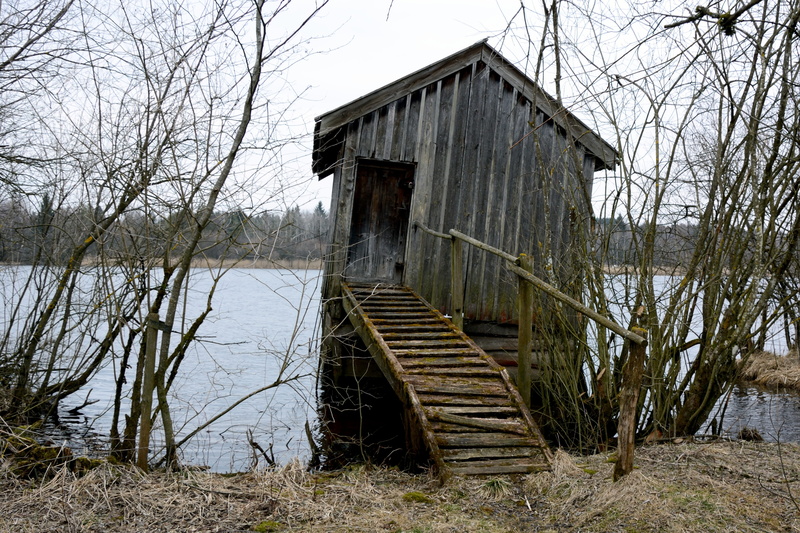 Nature, Old, wood - material, bare tree, house, forest, autumn, architecture, no people, Log Cabin, 4K, tree, secret, waters, built structure, mystical