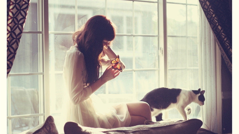 young adult, indoors, contemplation, young women, 720P, mammal, animal, animals, lonely, feline, beautiful woman, pets, hair, Teen, women, pet owner, cats