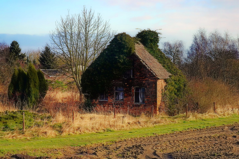 old building, overgrown, lonely house, outdoors, tranquil scene, 4K, building, building exterior, built structure, ruin, landscape, tranquility, house