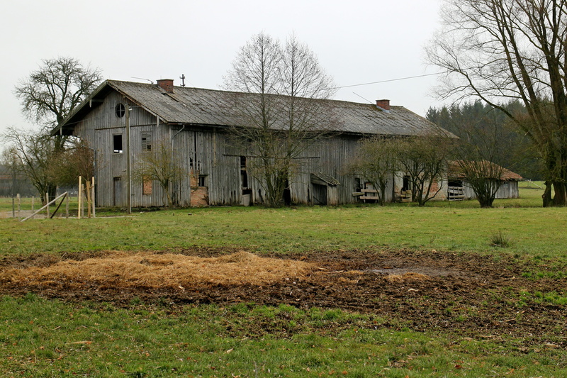 leave, bare tree, old, sky, built structure, agricultural building, run down, architecture, 4K, building exterior, wooden construction, lapsed, farm, grass