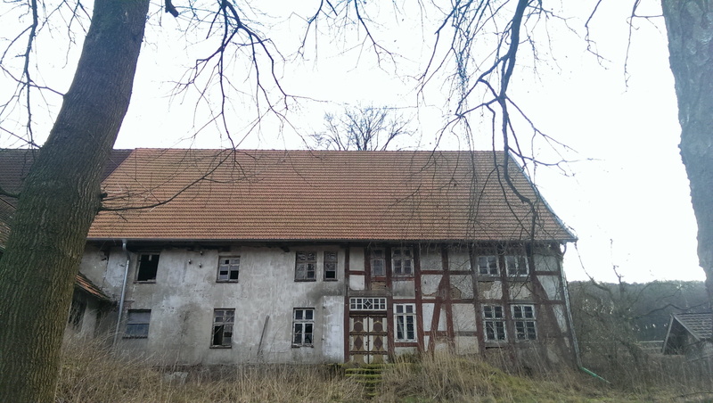 2K, lip, decay, plant, run down, Stall, land, lemgo, tree trunk, tree, architecture, home, building exterior, window, bare, trunk, bare tree, Ruin, Old House