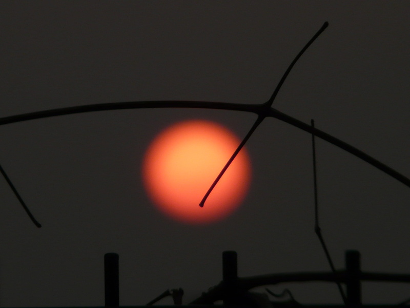 caught, environment, Mood, Setting, Gloomy, 2K, environmental conservation, technology, planet, outdoors, fuel and power generation, sunset, eyesight