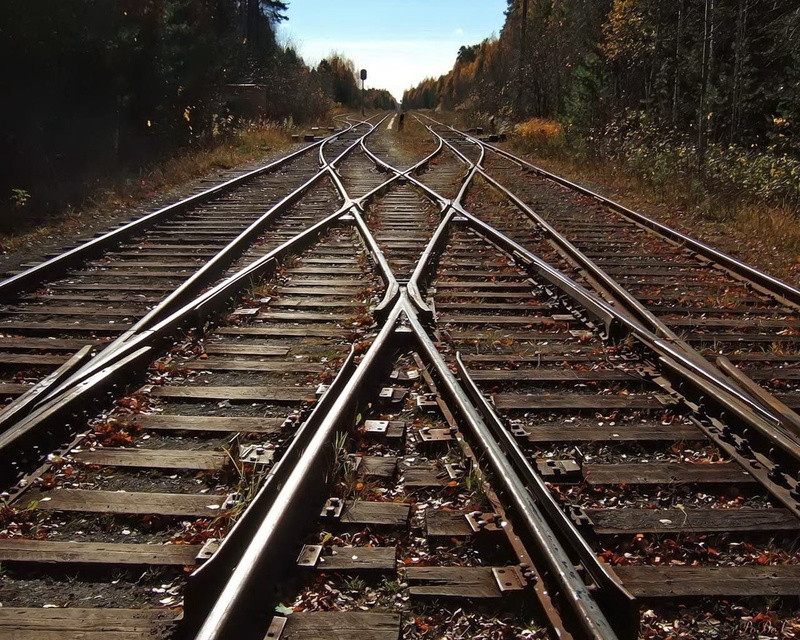 road, mode of Transport, high angle view, trees, the way forward, transportation, no people, day, speed, track, gray, vanishing Point, train, city, sunlight