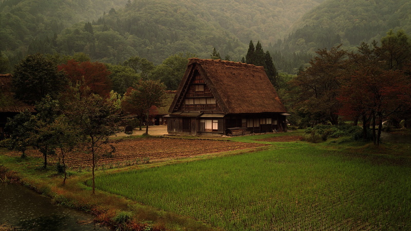 built structure, nature, 2K, day, no people, growth, land, grass, architecture, storey, residential district, building, beauty in nature, building exterior
