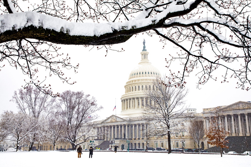 winter, snow, city, washington, dc, d.c., sky, architecture, nature, us capitol grounds, branch, dome, district, outdoors, government, bare tree, capitol