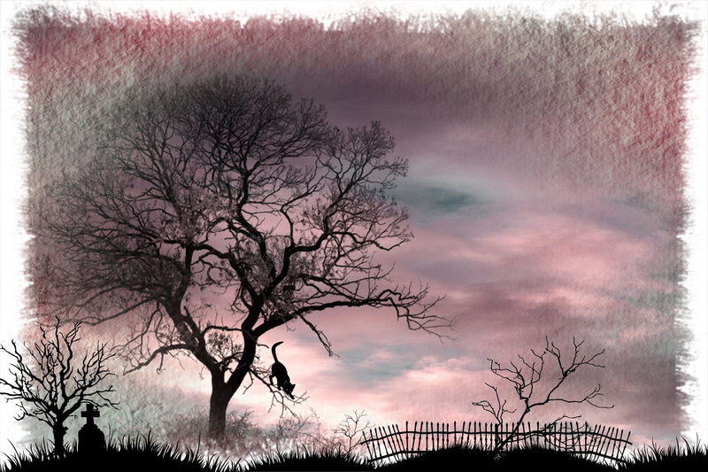 nature, weird, photo montage, 1080P, tombstone, bare tree, winter, cat, tranquility, animal, outdoors, auto post production filter, sky, creepy, climb
