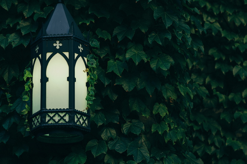 leafe, the past, framed, leaf, green color, plant, history, sconce, metal, turned, ornate, ivy, beauty in nature, growth, building, shadow, nature, building exterior