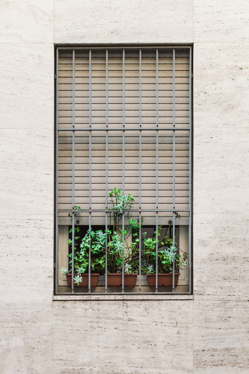 building Exterior, day, gate, steel, no People, window sill, growth, wall - Building Feature, wall, 4K, window blinds, architecture, gray, facade, nature
