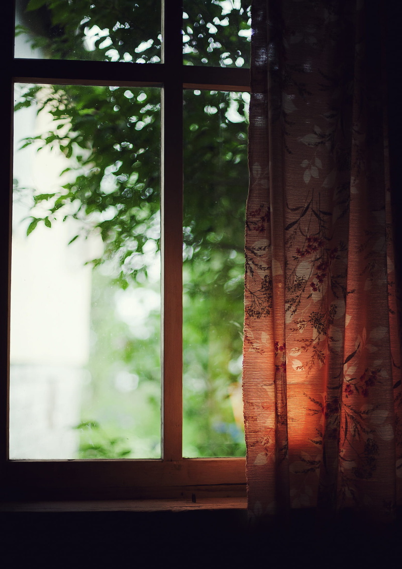 backlight, pane, indoors, forest, floral, low, bokeh, leafed, light, green color, window, deep of field, land, growth, green, trees, pattern, architecture