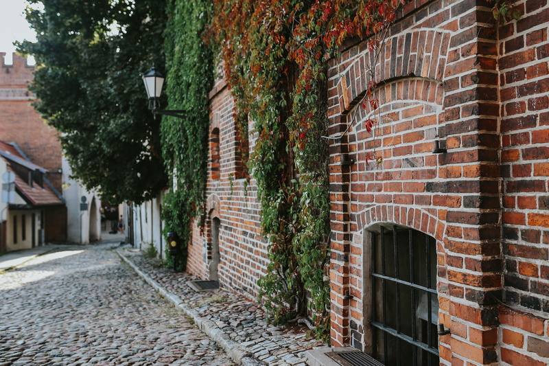residential district, no people, red brick, footpath, house, built Structure, cobblestone, day, building Exterior, outdoors, covered, architecture, city