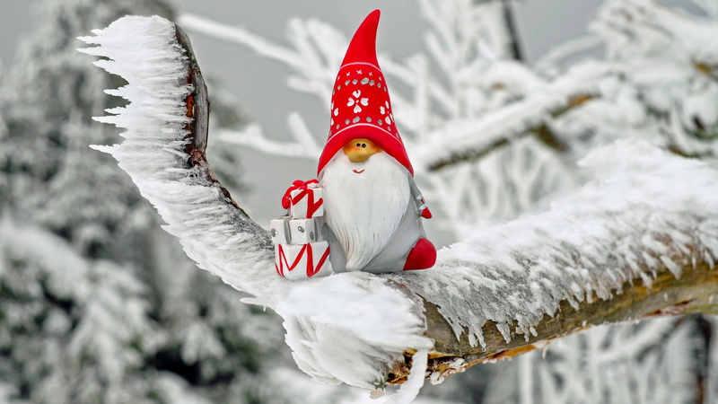 tree branch, santa claus, branch, frost, winter, cute, tree, zing, ice, figure, 4K, snow