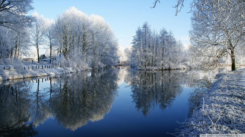 water, covered, lake, 1080P, snow, zing, frozen, reflected, winter, bare, nature and landscapes, trees