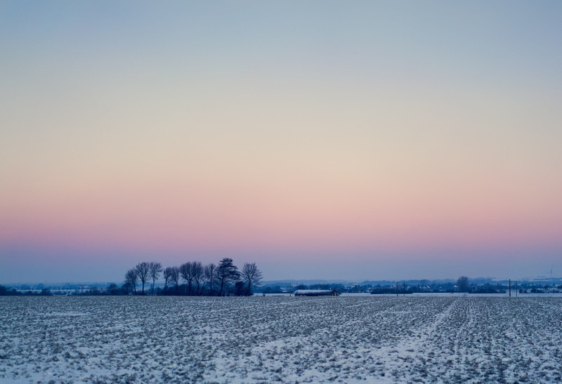 snowy, land, idyllic, frost, hazy, tranquility, non-urban scene, nature, beauty in nature, copy space, frozen, sky, dawn, cold, landscape, horizon, misty