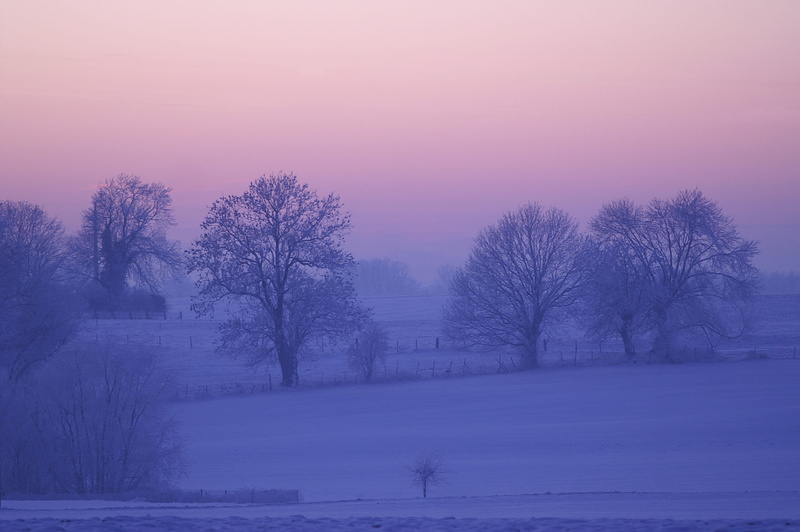 tranquility, environment, ze, plant, scenery, sky, countryside, snow, tree, scenics - nature, frozen, cold, beauty in nature, silhouette, cold temperature
