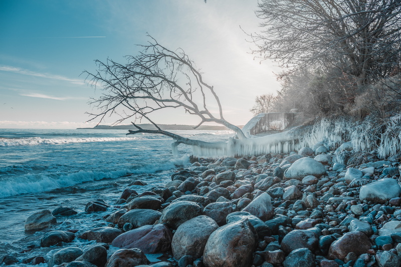 water, environment, glacier, seashore, woods, snow, tree, waves, scenics - nature, idyllic, daylight, trees, frozen, tranquility, mountains, nature, zing