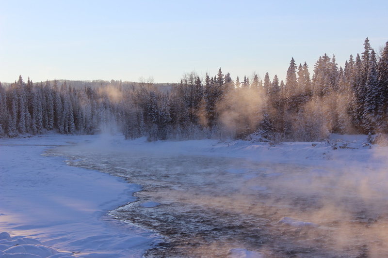 zing, fog, landscape, 2K, frost, coniferous tree, tranquility, no people, land, tree, sky, cold, trees, frozen, scenics, scenics - nature, frozen lake