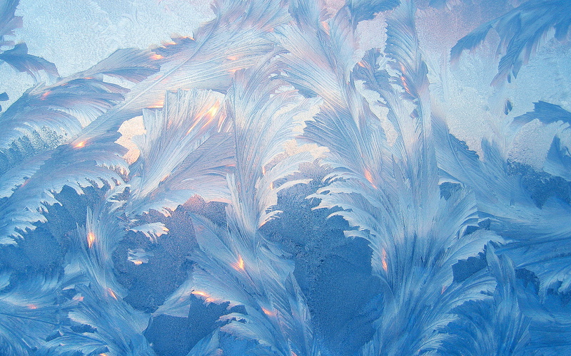 Frosty, Floral, Pattern, 2K, Stock