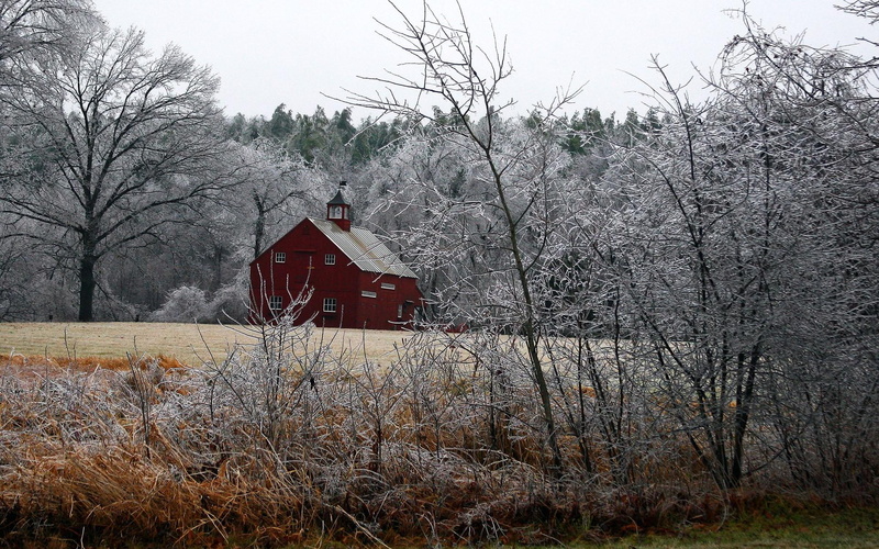 field, winter, barns, woods, country, frost, 1080P, barn, frosty, nature and landscapes, countryside, trees