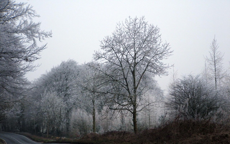 frosty, frost, forest, road, nature and landscapes, dreary, morning, 1080P, cotswold, engl