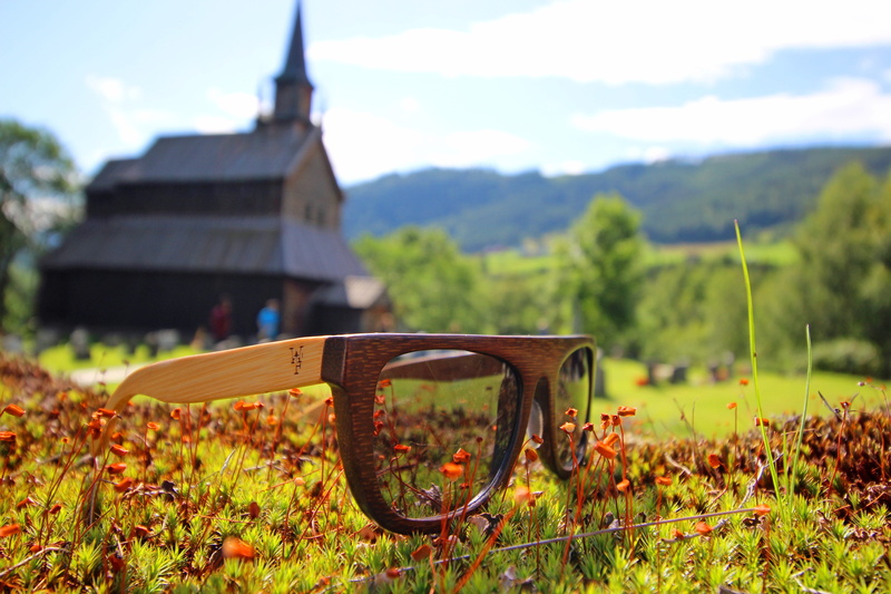 close-up, plant, sunglasses, sunlight, architecture, growth, sky, focus on foreground, 5K, stave church, no people, land, environment, landscape, nature