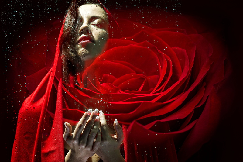 mary magdalene, digital composite, human hand, surreal, close-up, face, 5K, red, portrait, indoors, woman, rose, adult, nature, body part, flowering plant
