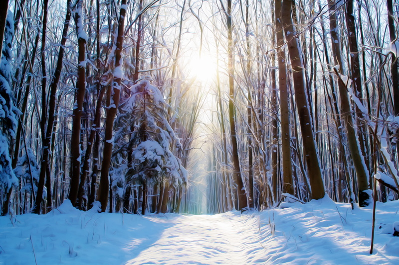 paint, blue, cold, painting, snowy, filter, icy, covered, beauty in nature, artfully, forest, bright, colored, sun, edited, plant, photo, white color, tranquility