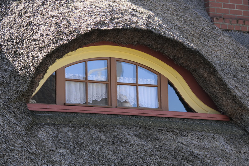 low angle view, darss, plant, reed roof, tree, 5K, fischland, wustrow, roofs, building, outdoors, transparent, house, fachwerkhaus, architecture, building exterior