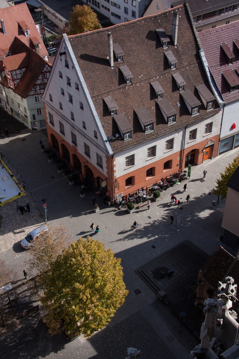 incidental people, city view, roof, birds eye view, road, tree, building, motor vehicle, high angle view, outlook, residential district, panoramic view from the cathedral