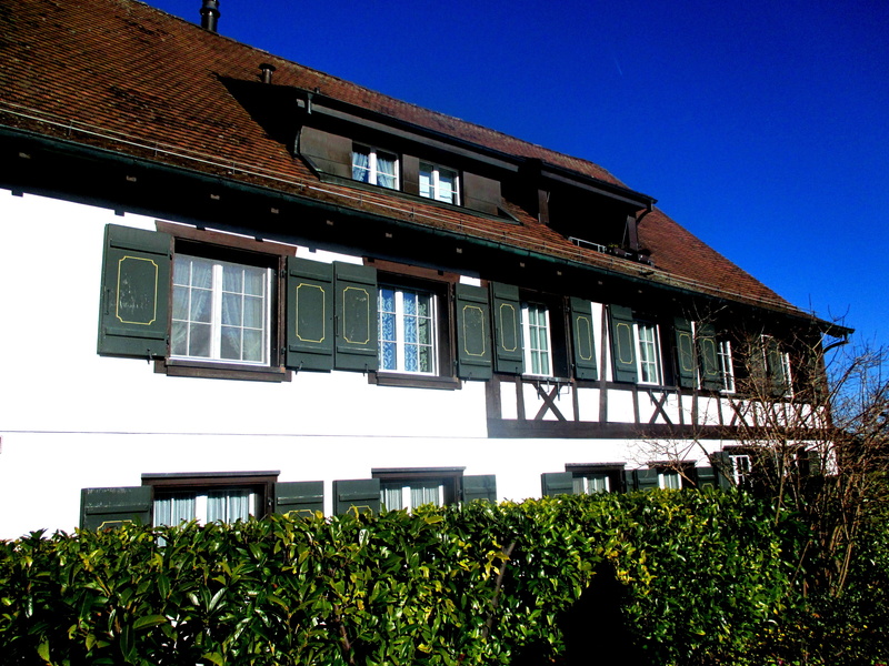 thurgau, building Exterior, plant, shutters, tree, building, fachwerkhaus, switzerland, outdoors, residential district, towing dormers, growth, sunlight