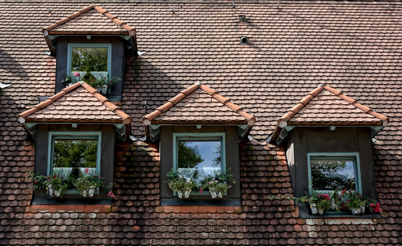 Architecture, plant, outdoors, roof windows, Dormer, residential district, roofing, Roof, facade, roof tile, romantic, house, brick wall, building exterior