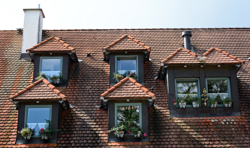 roof, tile, built structure, building exterior, window, decoration, house, stylish, decorative, dormer, home, building, entrance, day, expansion, residential district