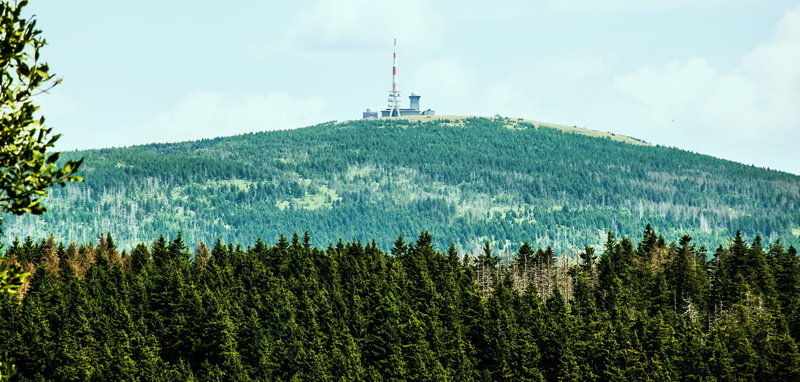 guidance, brocken view, scenics - nature, beauty in nature, plant, day, cloud - sky, outdoors, national park, pine tree, high position, resin, nature, hiking