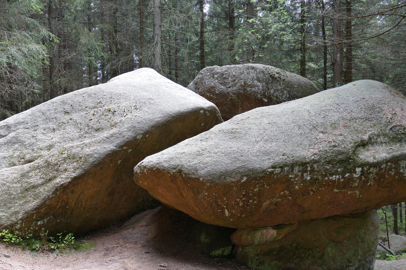 forest, rock, no people, close-up, solid, tree trunk, land, dreibrodestein, nature, plant, outdoors, rock - object, trunk, flowing water, day, oberharz