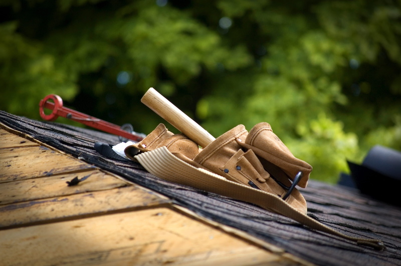 plant, seat, no people, exterior, focus on foreground, mode of transportation, group of objects, worker, equipment, trees, wood - material, day, nautical vessel