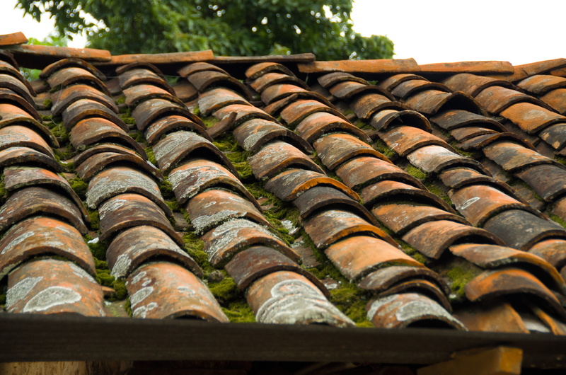 close-up, built structure, material, arrangement, no people, rustic, design, house, rooftop, order, shingle, repetition, terracotta, low angle view, tile