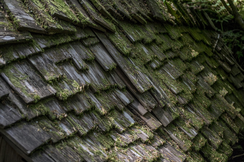 textured, texture, carpenter, outdoors, frame, roof, residential, green color, wooden, Layered, Wood, roofing, nail, wood, architecture, enchanted, full frame
