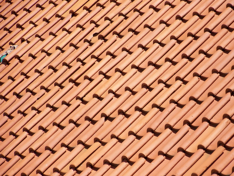 tile roof, ornate, structure, Tile, built structure, textured, material, textured Effect, pattern, shingle, Roof, construction Industry, construction, architectural