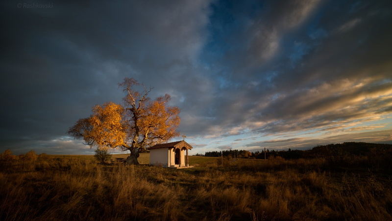 church, sky, clouds, forest, tree, scenics - nature, brown, grass, built structure, environment, autumn, building exterior, outdoors, plant, change, building